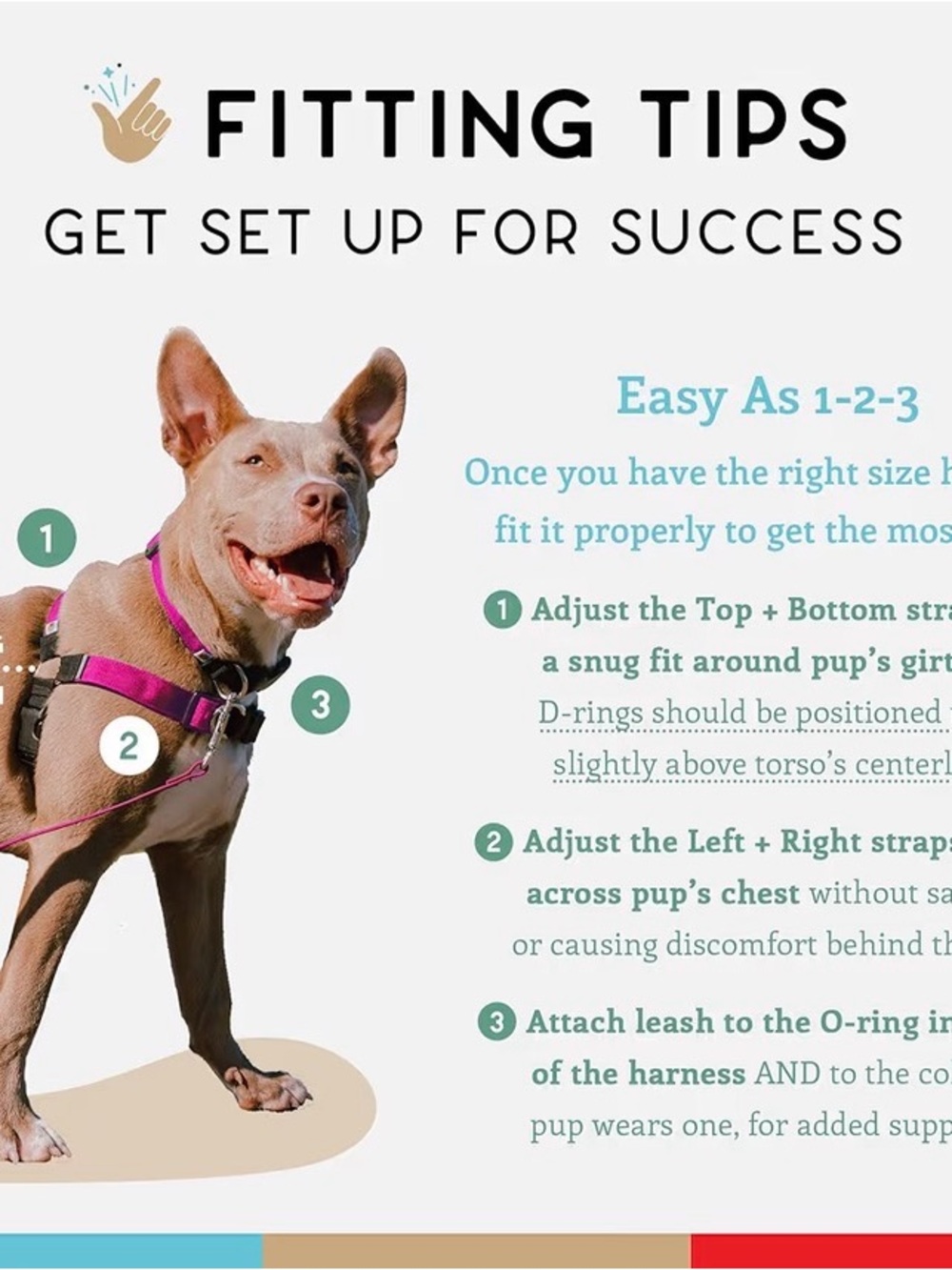 Wildebeest No Pull Dog Harness | Comfortable Training Harnesses Large - Picture 5 of 5